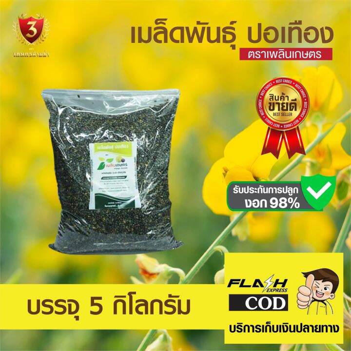 เมล็ดพันธุ์ปอเทือง-ขนาด-5-กก-คัดสะอาด-อัตราการงอก-98-สินค้าพร้อมส่ง