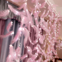 3m LED Feather String Lights USB Remote Control Christmas Decorations for Home Bedroom Window DIY Garland Curtain Fairy Lamp