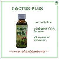 แรไอเท็ม แคคตัสพลัส 100 cc Cactus plus 100cc คุ้มสุดสุด ต้นไม้ ฟอก อากาศ กระถาง ต้นไม้ ไม้ ประดับ ต้นไม้ ปลูก ใน บ้าน