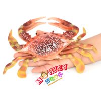 Monkey Toys - โมเดลสัตว์ Crab ปูม้า แดงจุด ขนาด 23.00 CM (จากหาดใหญ่)