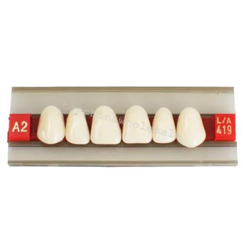 teeth-shade-a2-acrylic-resin-lazada