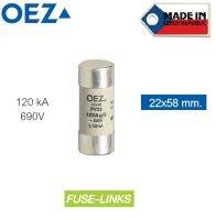 Fuse / ลูกฟิวส์ / Cylindrical fuse links ขนาด 22x58 mm. - OEZ (Made in Czech)