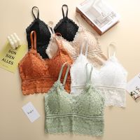 Lace Beauty Back Sling Bottoming Underwear Women French Style Inside Gathers Breathable Hollow Wrapped Chest Bra