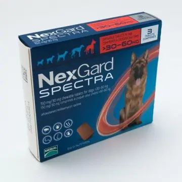 Buy Nexgard Spectra Tab Large Dog 33-66 Lbs Purple - Free Shipping