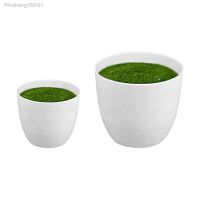 Small Artificial Potted Green Plants Decoration Ornament Flower Arrangement Greenery for Home Outdoor Desk Kitchen Bathroom