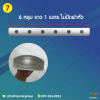 ราง 1 เมตร 6 หลุม ไม่ปิดฝา by hydroponicgroup