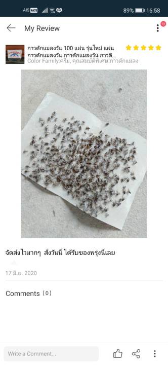 กาวติดแมลงวัน-กาวดักแมลงวัน-กาวดักแมลงวัน100-แผ่นกาวดักแมลง-ที่ดักแมลงวัน-แผ่นดักแมงวัน-กาวดักแมลง-แผ่นกาวติดแมลง-100-แผ่น