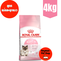 Royal Canin Baby and Mother 4 kgs อาหารสำหรับลูกแมวอายุ1-4เดือน และแม่แมวตั้งท้อง-ให้นม ขนาด 4 กก.