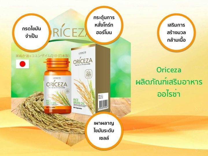 oriceza-ออไรซ์ซ่าน้ำมันรำข้าว-มีโคเอนไซม์-คิวเท็น-เสริมสร้างภูมิคุ้มกัน-gamma-oryzanol-coenzyme-q10-บรรจุ-60-แคปซูล-จำนวน-2-กระปุก