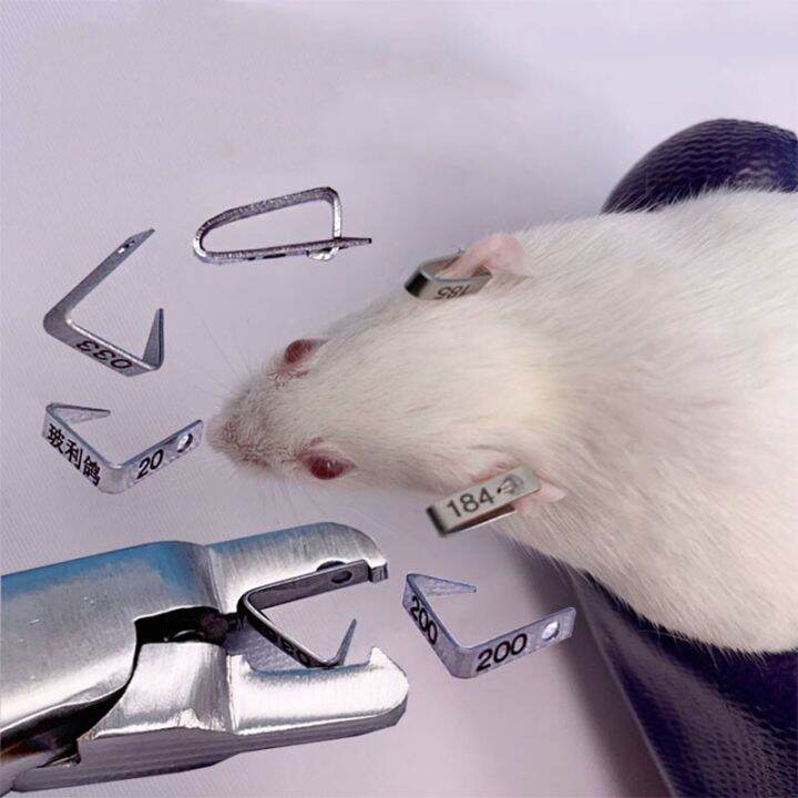 Rat Mice Hamster Mouse Ear Tag 304 Stainless Steel Lab Tools