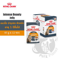 Royal Canin Intense Beauty Jelly อาหารเปียกแบบชิ้นเนื้อในวุ้นเจลลี่ แมวโตอายุ1ปีขึ้นไป บำรุงขนและผิวหนัง 85กรัม x 12ซอง