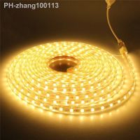 Waterproof LED Strip Light AC 220V 5050 60Leds/m Flexible Tape Lamp Indoor Outdoor Warm Cool White Red Blue Green Pink Home Rope