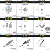 ลวดลาย เหล็กดัด รหัส D-12 / D-023 แพ็คละ 10 ชิ้น เหล็กปั๊ม เหล็กหล่อ สามารถเชื่อมได้