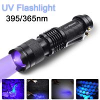 LED UV Flashlight 365nm 395nm Blacklight Scorpion UV Light Pet Urine Detector Zoomable Ultraviolet Outdoor Camping Lighting Rechargeable Flashlights