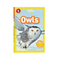 National Geographic Kids Readers: owls National Geographic graded reading elementary level 1 English Enlightenment picture book for young children