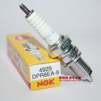 Original-genuine℗ NGK Spark Plug DPR8EA-9 D8TC DR8EA D8EA A8YC 2179 D8RTC Tibetan Mastiff Horizon