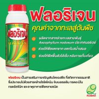 ฟลอริเจน สาหร่ายทะเลจากประเทศนอร์เวย์ 1ลิตร เปิดตาดอก เร่งแตกราก แตกยอด ช่วยฟื้นต้น