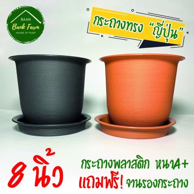 กระถางญาญ่า8นิ้ว (1ใบ) กระถางราคาถูก กระถางพลาสติก กระถางต้นไม้ เกลียวญี่ปุ่น l บ้านแบงค์ฟาร์ม