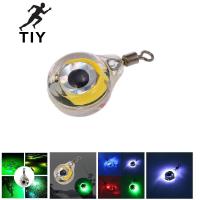 TIY LED Fishing Lure Night Light Battery Powered Glow Underwater Attracting Fish Lamp Fishing Bait