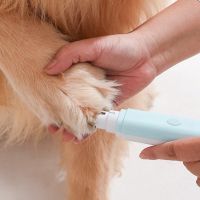 2 in 1 Pet Electric Hair Clipper Self cleaning Comb Cat Remove Floating Hair Nail Grinder Recharge Haircut For Dogs Cat