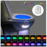 hot！【DT】 16 Colors Toilet Sensor Night Lighting USB power supply IP65 for Children