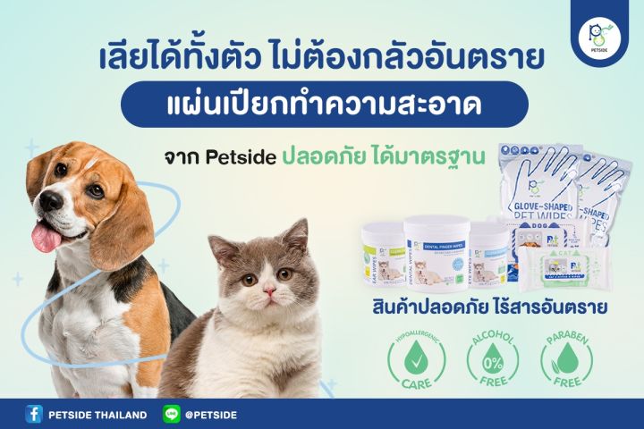 pedside-ทิชชู่เปียกเช็ดตัวสำหรับแมวและลูกแมว-เพ็ทไซด์-ทิชชู่เปียกแมว-บรรจุ-24-แผ่น
