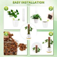 Plastic Moss Pole for Plants Monstera, Plant Poles for Climbing Plants, Plant Support for Indoor Plants