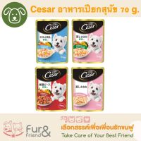 Cesar อาหารเปียกสำหรับสุนัข 70 g. ราคาพิเศษเพียงซองละ 20 บาท