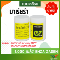 เมล็ดพันธุ์ผักสลัดเรดคอรัล มาเรียร่า (Red Coral Mariella) ชนิดเคลือบ 1000 เมล็ด ยี่ห้อ Enza Zaden จากประเทศเนเธอร์แลนด์ by hydroponicgroup