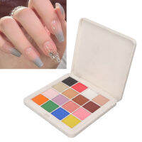 Nail Powder Professional 16 สี Solid Nail Art Powder เนื้อละเอียดสำหรับใช้ในบ้าน