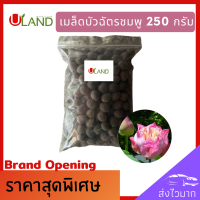 Uland เมล็ดพันธุ์บัวฉัตรชมพู 250 กรัม บัวหลวง เต็มเมล็ด อัตราการงอกสูง เมล็ดพันธุ์บัว บัวฉัตร ดอกบัวฉัตร ดอกบัวประดับ บัวสวยงาม