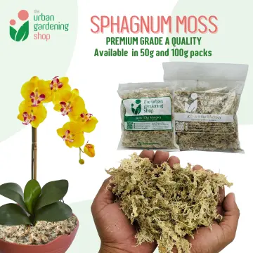 6L Natural Sphagnum Moss Orchid Potting Mix for Orchid Gardening