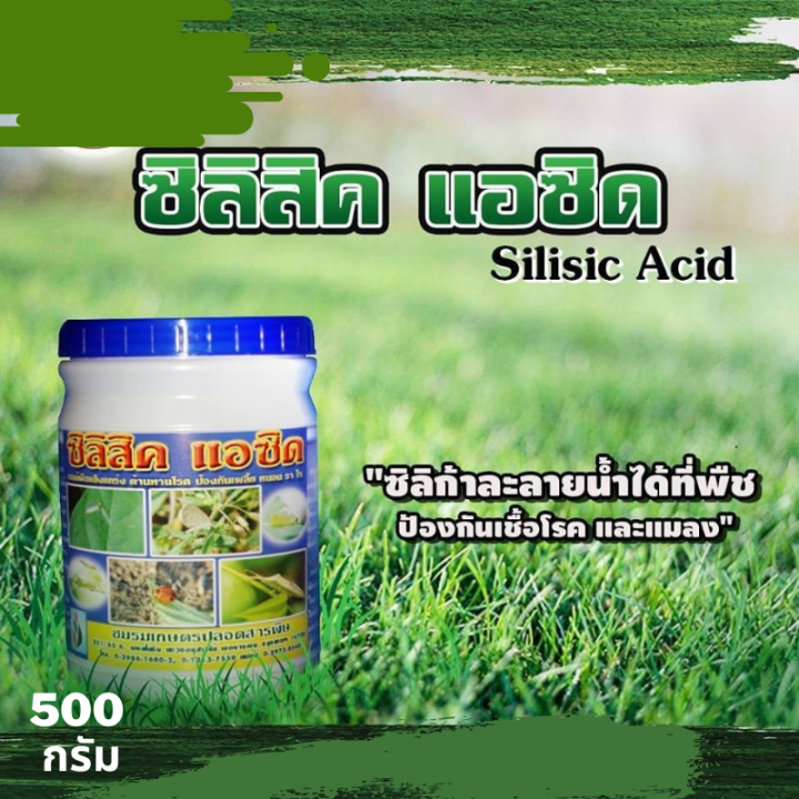 thaigreenagro-silisic-ซิลิสิค-แร่ธาตุซิลิก้าที่สกัดจากหินแร่ภูเขาไฟ-ช่วยเพิ่มความแข็งแกร่งให้แก่ผนังเซลล์-ปุ๋ยบำรุงดิน