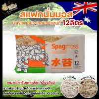 ของแท้ besgrow, สแฟกนั่มมอส ,Spagmoss บรรจุ (12L/150 กรัม),วัสดุปลูกคุณภาพสูงจากนิวซีแลนด์, เบสโกรว์สแปกนั่มมอส, besgrow Sphagnum Moss, วัสดุปลูกกล้วยไม้