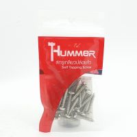 HUMMER สกรูเกลียวปล่อยหัว 10X1นิ้ว (25ตัว/แพ็ค) P-HM1010 สีโครเมี่ยม