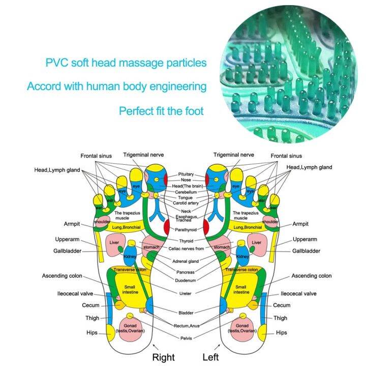 ลดเวลาจำกัดเครื่องนวดเท้ารองเท้าแม่เหล็กอุปกรณ์ดูแลสุขภาพสปาเท้า-acupressure-จุดนวดรองเท้ารองเท้าสลิปเปอร์นวดเท้าอาการปวด-relief-ความสัมพันธ์