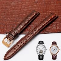 Alligator Leather Watchband Small Womens Watch Chain Black Brown 12Mm 13Mm  14Mm 15Mm 16 17Mm For Armani F-Iyta Wristband Strap