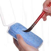 Watercolor Painting Brush Sponge Boxed Moisturizing Special Water Sponge Strong Water Absorption Cleaning Tool Art Supplies Artist Brushes Tools