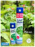 ?โฉมใหม่? Chrysal Leaf Shine คริสซอล สเปรย์ฉีดใบมัน ขนาด 250 ml. และ 750 ml. เคลือบเงาใบ สวยงาม ไม้ใบ ไม้ประดับ เงางาม