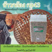 ข้าวกล้องกข43 ข้าวเกษตรอินทรีย์ 1kg ดัชนีน้ำตาลต่ำ หอมเหมือนข้าวหอมมะลิ เหมาะสำหรับผู้ที่ดูแลสุขภาพ ควบคุมน้ำหนัก หอม ใหม่ หุงขึ้นหม้อ