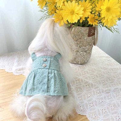 Summer new flower hollow cotton embroidery short skirt cool spring and summer pet dog cat clothes Teddy Bichon