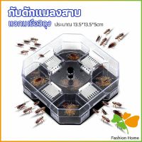 FASHION ที่ดักแมลงสาบ ที่ดักแมลงสาบ กล่องดักแมลงสาบ  cockroach trap