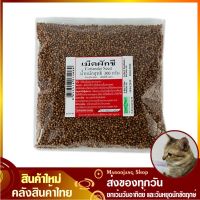 จัดโปร?เม็ดผักชี 300 กรัม เมล็ดผักชี ผักชีเม็ด ผักชีเมล็ด เม็ด เมล็ด ผักชี Coriander Seeds