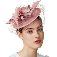 Fascinator Pillbox คลิปที่คาดผมแฟชั่นผ้าคลุมหน้าเจ้าสาวขนนกหมวกดาร์บี้ปาร์ตี้น้ำชาหมวกสำหรับผู้หญิงและผู้หญิง