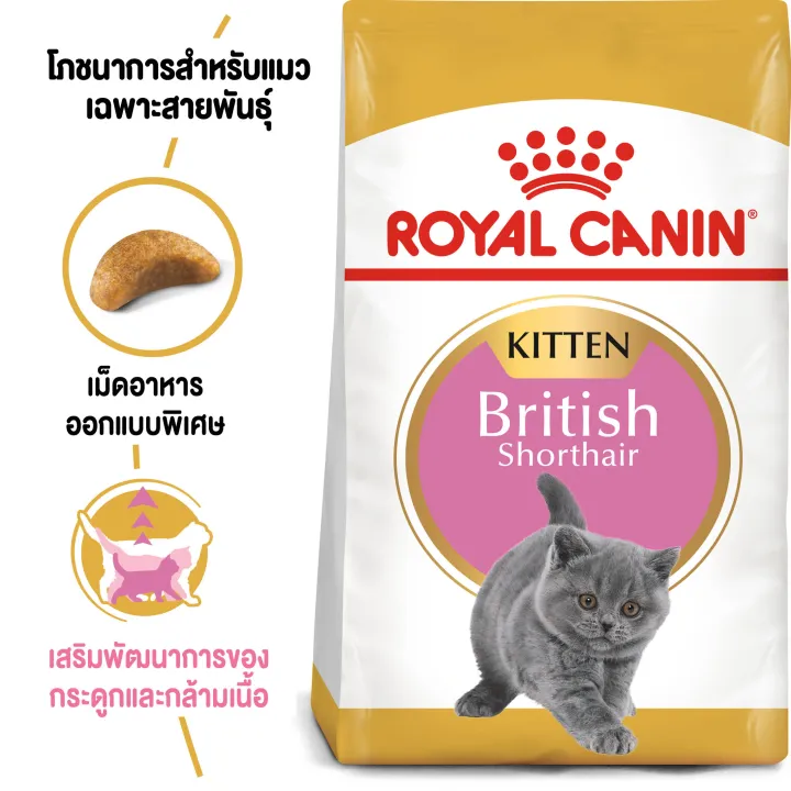 หมดอายุ8-2024-royal-canin-british-shorthair-kitten-10-kg-อาหารสำหรับแมวเด็ก-พันธุ์บริทิช-ช็อตแฮร์-เสริมสร้างกล้ามเนื้อแมว