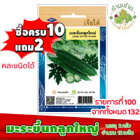 (ซื้อ10แถม2) เมล็ดพันธุ์ มะระขี้นก ลูกใหญ่ Bitter gourd ประมาณ 12เมล็ด เจียไต๋ เมล็ดพันธุ์พืช เมล็ดพันธุ์ผัก เมล็ดผัก เม็ดผัก ผักสวนครัว พืชผัก