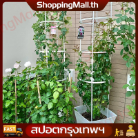 ขาว ไม้เลื้อยกล่องเสริม Garden Trellis ขาตั้งดอกไม้แหวนมะเขือเทศสนับสนุนทนทาน Creative ปรับเถาไต่ Racks  ใหม่กุหลาบสวน Trellis ผลไม้ผักเถาปีนเหล็กพืชโครงรองรับชุดขาตั้งปรับได้สีขาว