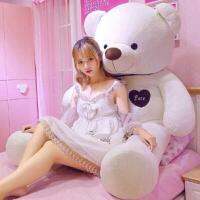 Plush Teddy Bear Doll Panda Hug Bear Female Birthday Gift Cute Doll Big Pillow Doll Teddy Bear