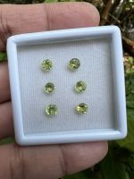 เพอริดอทของพลอย แท้ รูป กลม 5.00 มม (10 เม็ด)ธรรมชาติ 100% Natural Peridot Gemstone Round Shape (10 pcs )