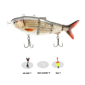 Robotic Lure - Is a animated lure that is a self-propelling fishing lure.